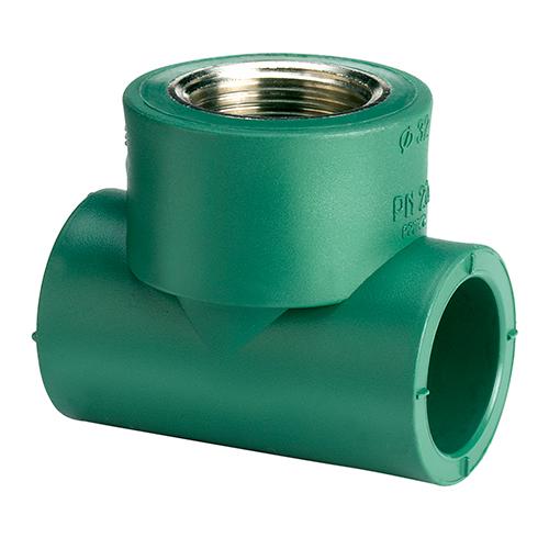 [ECCSC032004D04] TEE C/ROS.C/H.32X1"